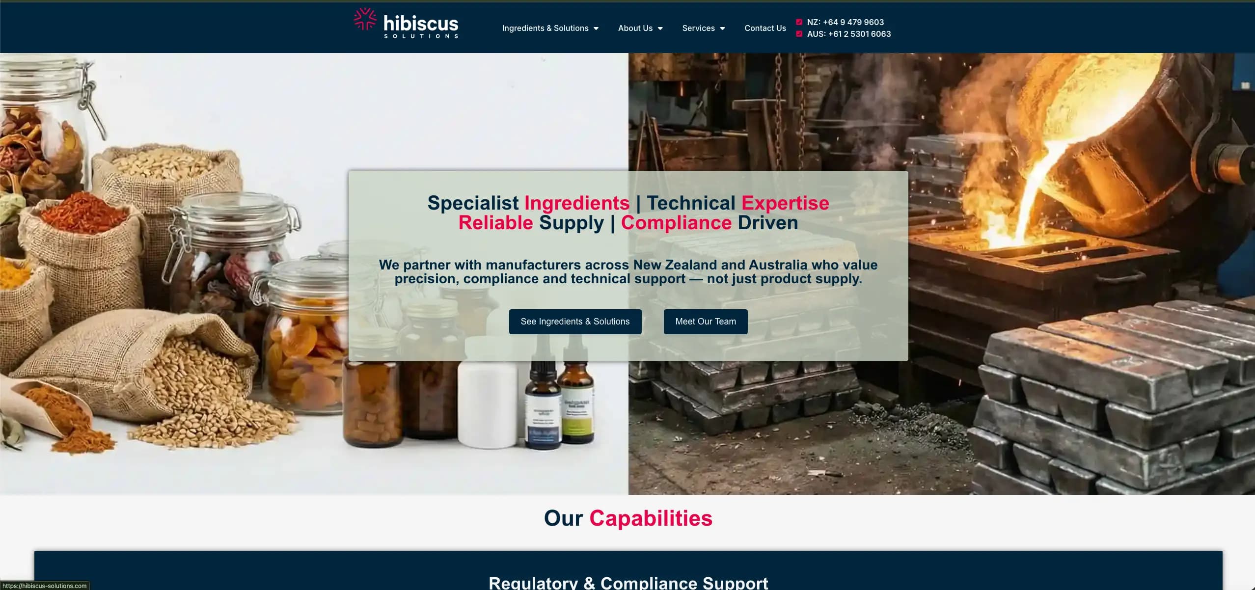 Hibiscus Solutions Website